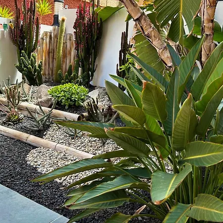 Roque-house Hébergement de vacances Costa Adeje (Tenerife)